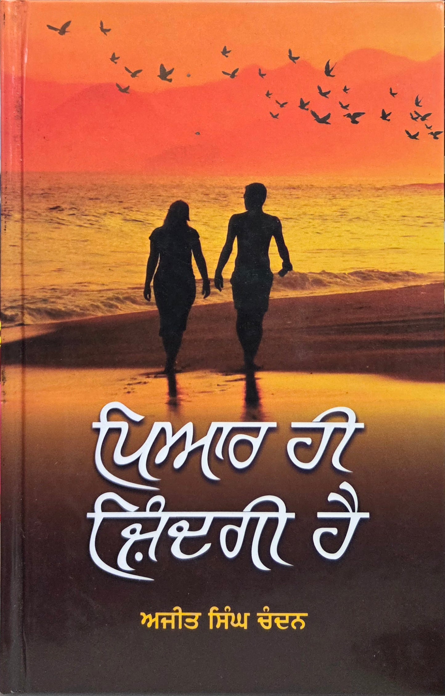 Pyaar Hi Jindagi Hai