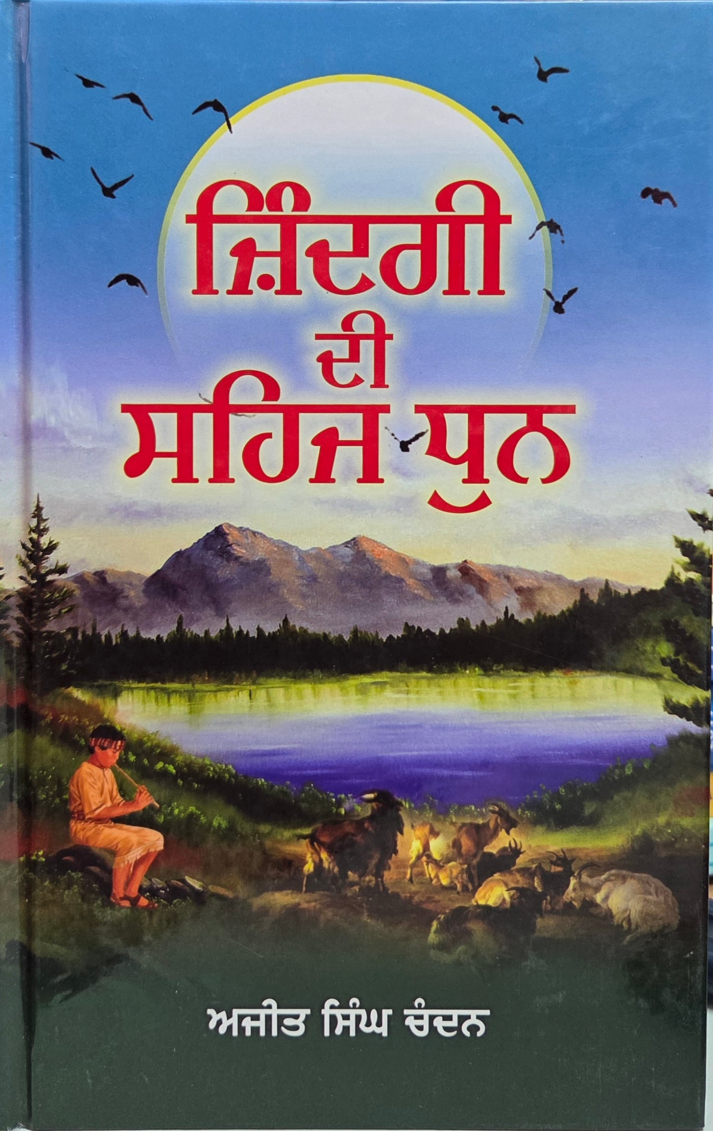 Zindagi Di Sehaj Dhun